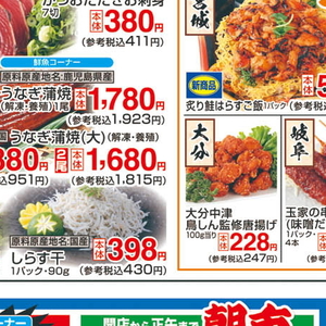 うなぎの蒲焼き