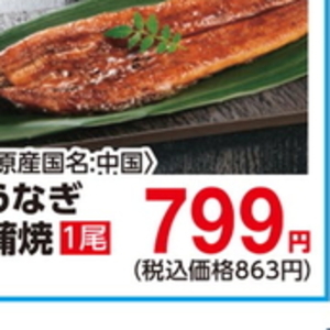 うなぎの蒲焼き
