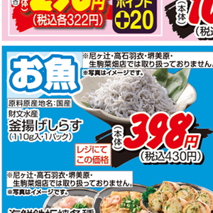 しらす