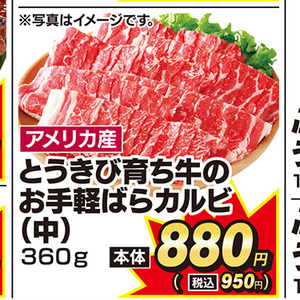 牛カルビ