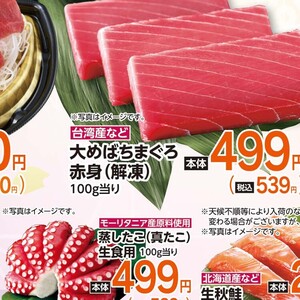 まぐろ赤身