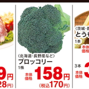 ブロッコリー