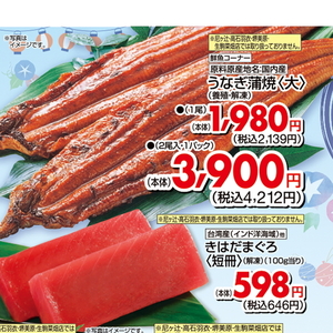 うなぎの蒲焼き