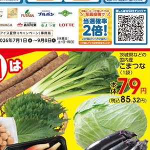 こまつ菜
