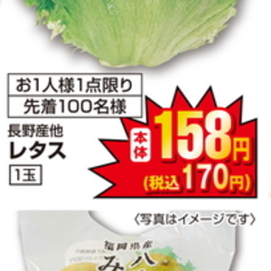 レタス