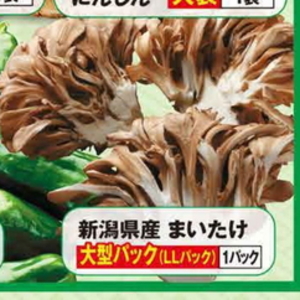 まいたけ