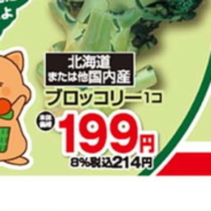 ブロッコリー