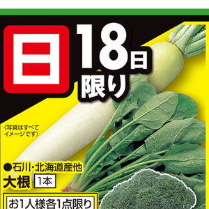 だいこん
