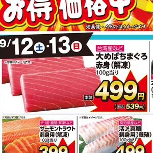まぐろ赤身