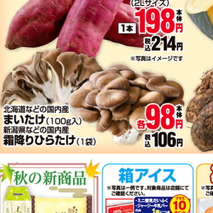 まいたけ