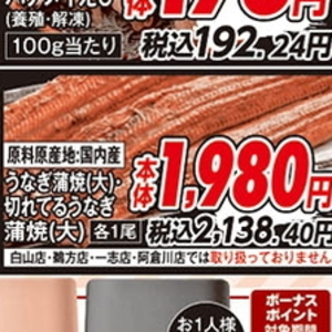 うなぎの蒲焼き