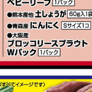 ブロッコリースプラウト