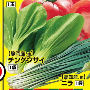 ちんげん菜