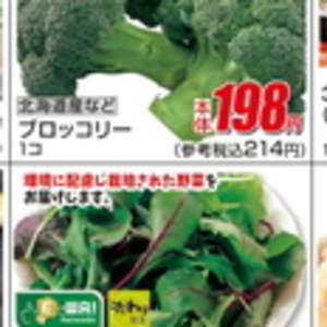ブロッコリー