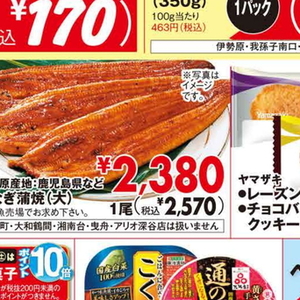 うなぎの蒲焼き