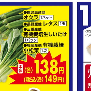 しいたけ