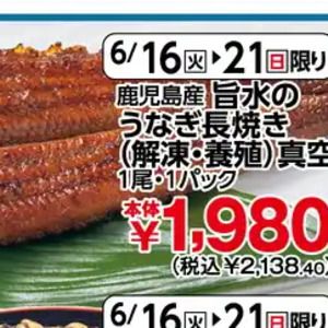うなぎの蒲焼き
