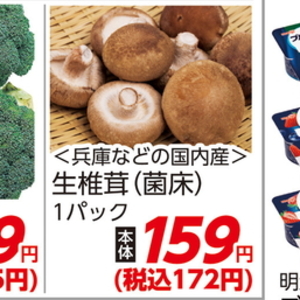 しいたけ