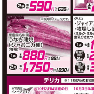 うなぎの蒲焼き