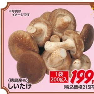 しいたけ