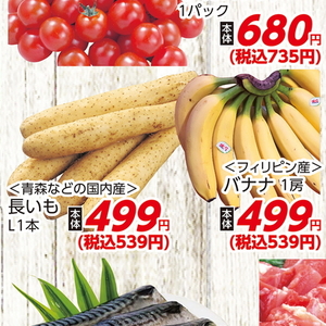 ながいも
