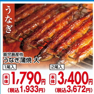 うなぎの蒲焼き