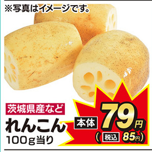 レンコン