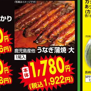 うなぎの蒲焼き