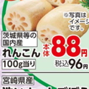 レンコン
