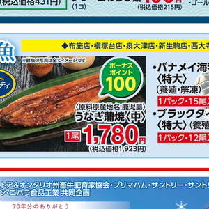 うなぎの蒲焼き