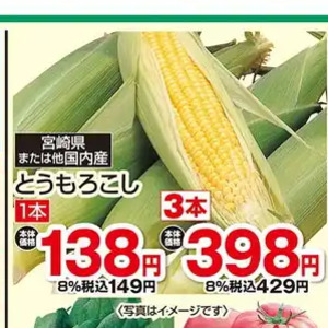 とうもろこし