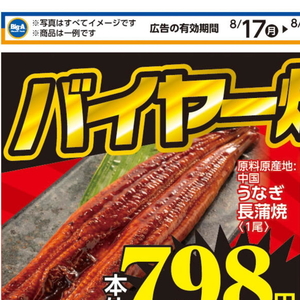 うなぎの蒲焼き
