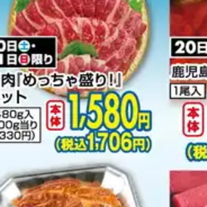 うなぎの蒲焼き