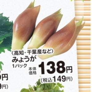 みょうが
