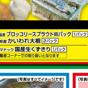 カイワレ大根