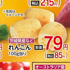 レンコン