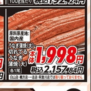 うなぎの蒲焼き
