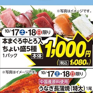 まぐろ中とろ