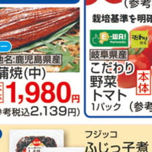 うなぎの蒲焼き