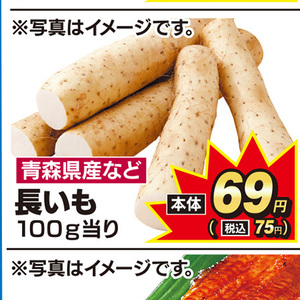 ながいも
