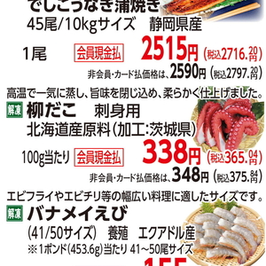 たこ（刺身）