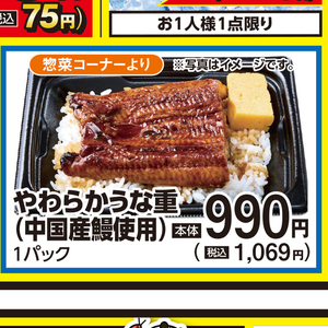 うなぎの蒲焼き