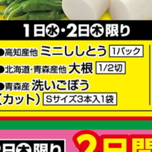 だいこん