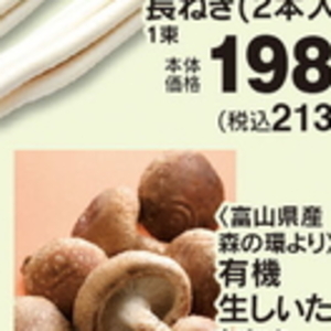 ながねぎ