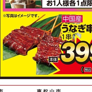 うなぎの蒲焼き
