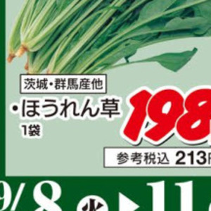 ほうれん草