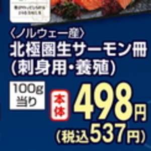 サーモン（さく取り）