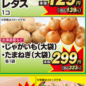 たまねぎ