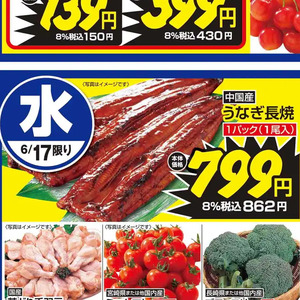 うなぎの蒲焼き