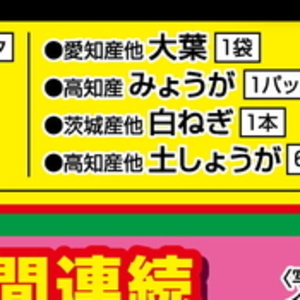 ながねぎ